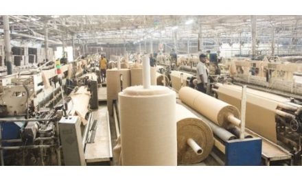 Jute sector weaves comeback via lower fibre cost, demand rebound
