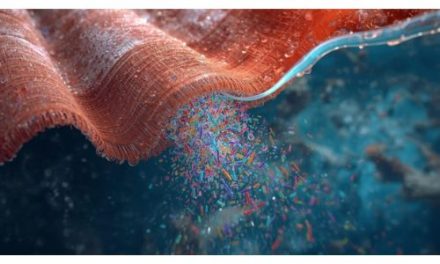 Microplastic Pollution Demands Action Indian should implement meaningful mitigation measures