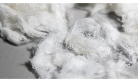 RE&UP’s Next-Gen Cotton fibers power Zalando private label t-shirt collection crafted from innovative recycled textiles