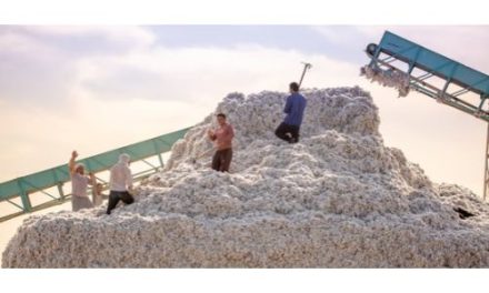 Kazakhstan opens two new cotton processing plants