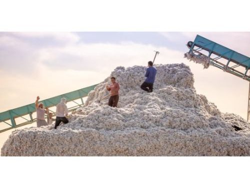 Kazakhstan opens two new cotton processing plants